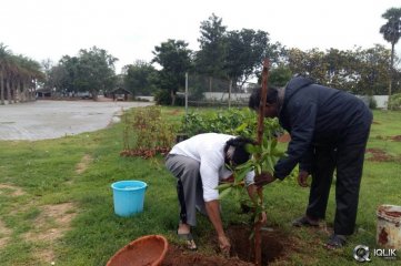 Rana At Haritha Haaram Event